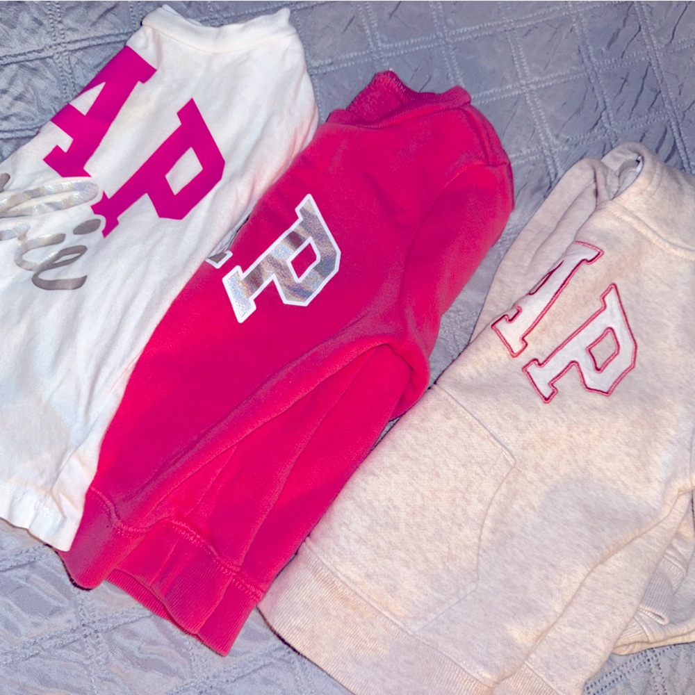 Lot of 3 - Girls GAP T-shirt, Sweater & Hoodie (age 2)